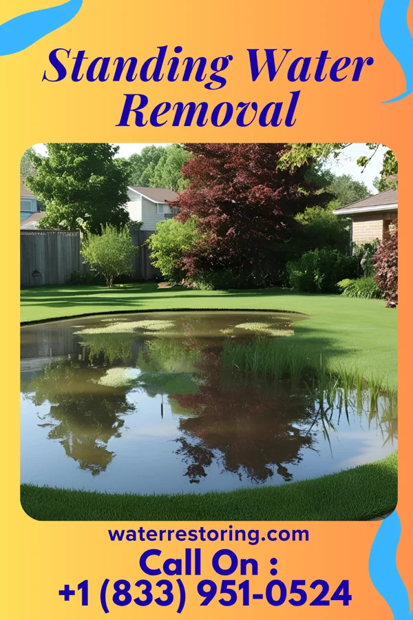 Standing Water Removal in Berger, MO